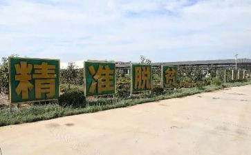 农村致富事迹8篇