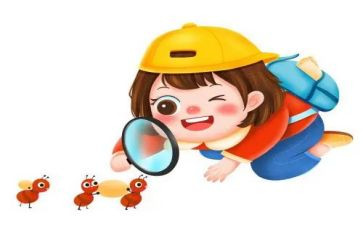 观察小动物作文最新5篇