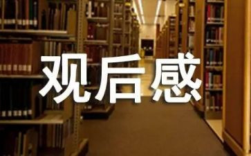 2024党课观后感7篇