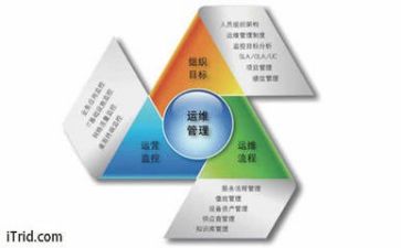体育管理工作总结7篇