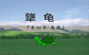 犟龟读后感精选7篇()