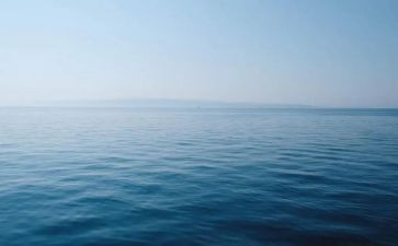 《海蒂》读后感8篇(《海蒂》：情感与成长的绽放)