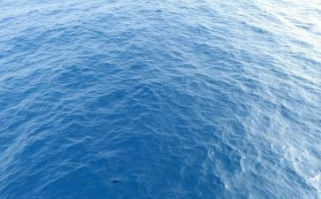 老人与海读后感500字7篇(海的故事：老人与坚持)