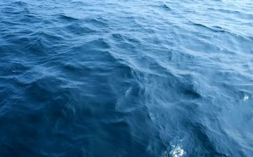 读老人与海心得体会作文800字7篇(智慧与坚持：《老人与海》心得体会)