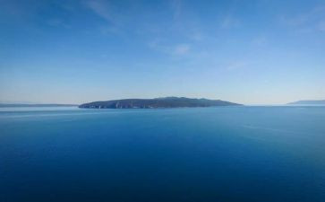 《海蒂》读后感6篇(《海蒂》：情感之旅)
