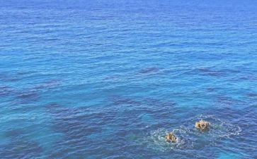 《海蒂》读后感参考6篇(《海蒂》：六篇读后感，启迪心灵的旅程)