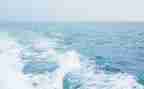 《海蒂》读后感模板6篇
