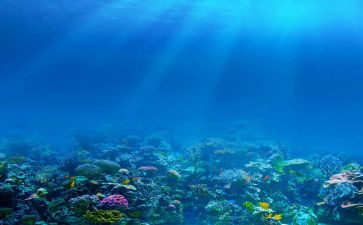 《海底两万里》的读后感7篇(《深海探秘：《海底两万里》的读后感7篇》)