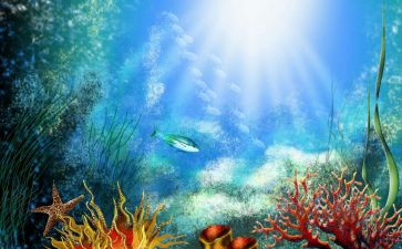 《海底两万里》的读后感推荐7篇(《海底两万里》：7篇读后感，探索深海奇观)