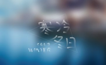 2024年寒假社会实践个人总结优质6篇
