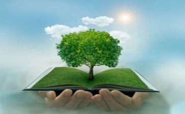 环保的优秀演讲稿6篇