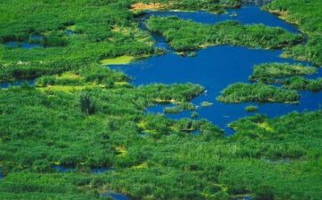 环境的演讲稿400字7篇