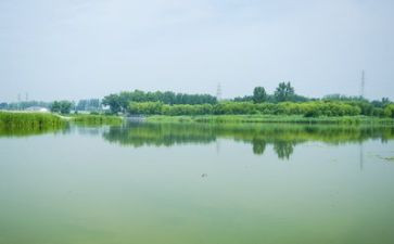 环境报告总结5篇
