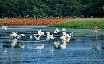 环境调查作文400字8篇