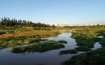 环境的演讲稿800字8篇