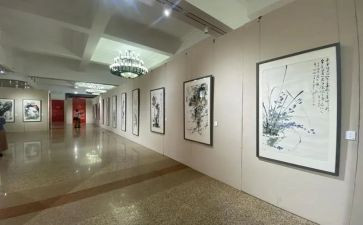 看画展心得体会5篇