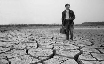 呼唤和平作文6篇(和平的呼唤：6篇优秀作文)