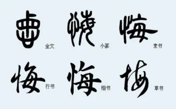 无悔的青春作文通用7篇(