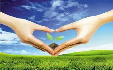 护苗行动作文5篇