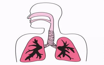 护士呼吸科心得体会8篇