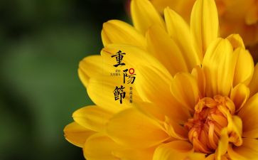 九九重阳佳节敬老讲话稿推荐5篇(敬老有方，九九重阳佳节讲话稿精选)