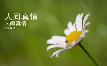 让真情流作文参考6篇