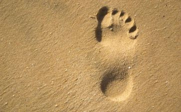 小班小脚印教案6篇