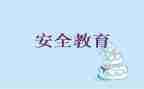 幼儿教育安全工作总结6篇