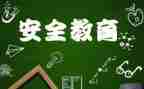 网络教育安全心得体会模板6篇