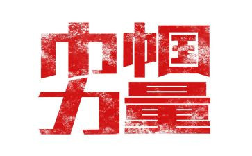优秀巾帼志愿者事迹材料7篇(巾帼志愿者：无私奉献，温暖人心)