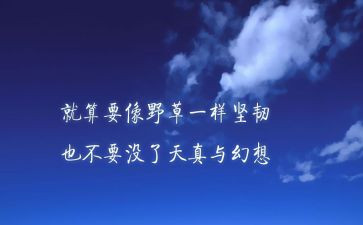 学习雷锋精神心得体会5篇(雷锋精神：五篇心得，点亮人生之光)