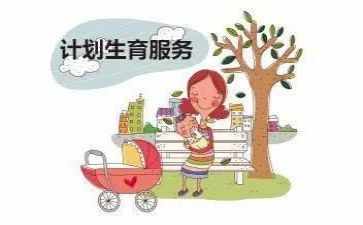 2024年村计生工作总结5篇