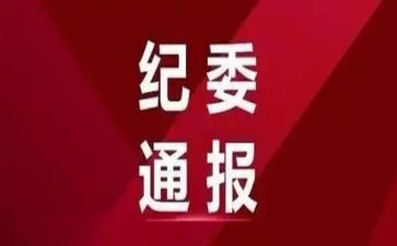 乡纪委工作总结7篇