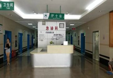 2024年急诊科个人总结优秀8篇