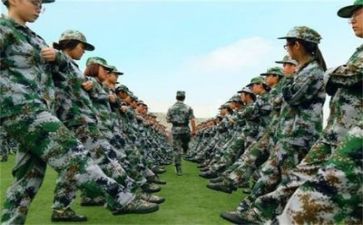军训心得体会作文800字怎么写8篇(军训心得体会：8篇800字作文，助你成为更优秀的人)