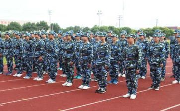 军训心得体会作文800字怎么写5篇(军训心得：磨砺成长，铸就坚强)