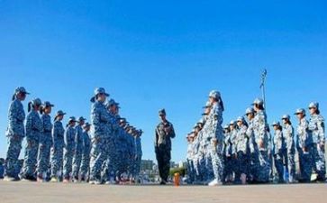 军训的心得体会作文800字推荐5篇(1. 军训收获与感悟：五篇精彩分享
2. 军训心得分享：五篇精彩推荐
3. 军训感悟：五篇精彩体会
4. 军训见闻：五篇精彩心得
5. 军训感悟分享：五篇精彩推荐)
