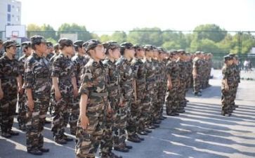军训心得体会作文800字怎么写最新5篇(军训心得：磨砺成长，铸就坚强)