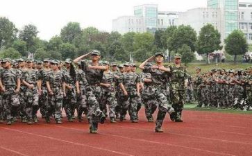军训500字作文6篇(军训经历：磨砺成长的征程)