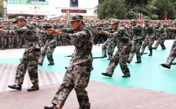 军训心得体会作文800字7篇(军训心得：磨砺成长，铸就坚强)