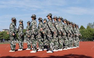 军训心得体会作文800字最新7篇(军训心得：磨砺成长，铸就坚强)