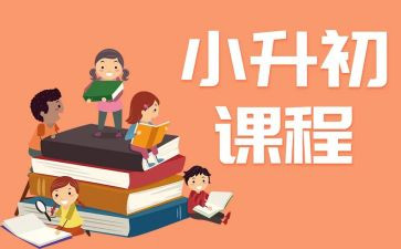 课程开设情况自查报告5篇