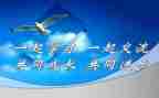 课改个人总结5篇