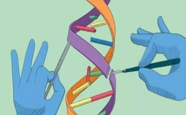 幼儿园大班科学沉与浮教案优质6篇