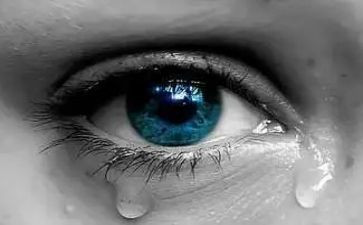 奶奶的泪作文800字精选8篇