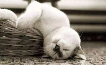 累也是一种幸福作文精选8篇