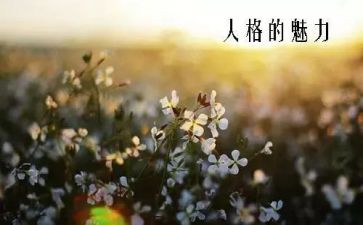 中国魅力的作文7篇