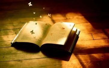 英语阅读理解心得5篇