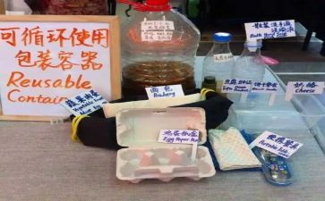 垃圾吊工作总结精选6篇