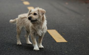 《时光老人与流浪汉》读后感8篇